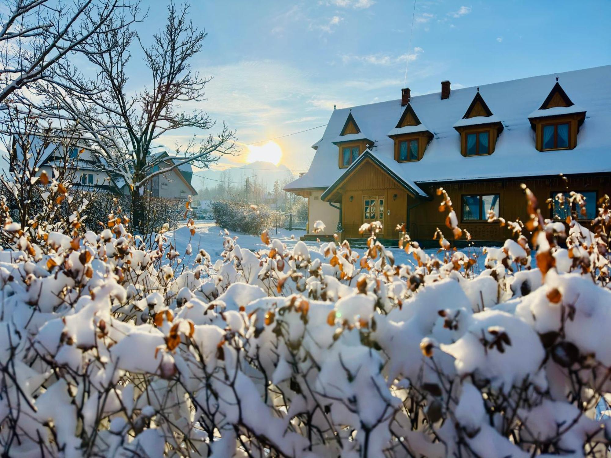 Gościnne Siodemka * Zakopane